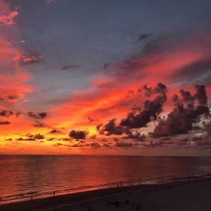 Meet your Posher, Miranda